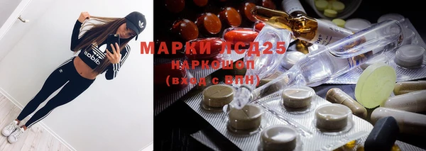 прущая мука Вяземский