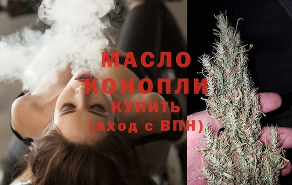 прущая мука Вяземский