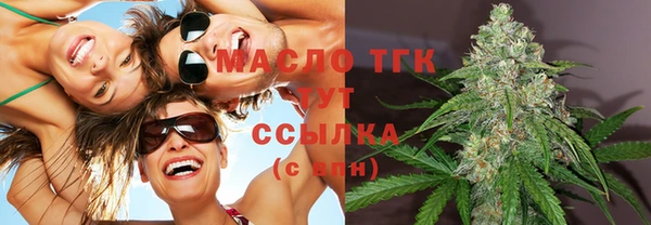 прущая мука Вяземский