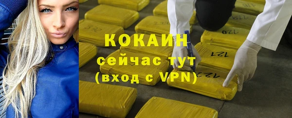 прущая мука Вяземский