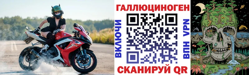 Галлюциногенные грибы Psilocybe Новая Усмань