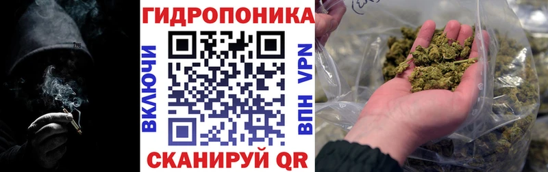 наркотики  Новая Усмань  Конопля SATIVA & INDICA 